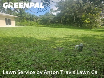Grass Cut nearby North Port, FL, 