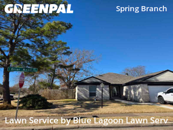 Yard Cuttingin Houston,77082,Lawn Mow by Blue Lagoon Lawn Serv, work completed in Feb , 2026