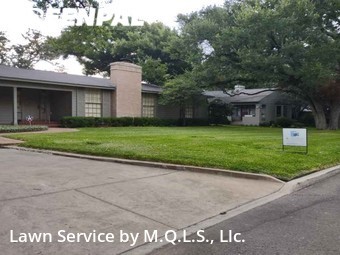 Lawn Servicein Alamo Heights,78209,Yard Cutting by M.Q.L.C. Llc., work completed in Dec , 2025