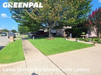 Grass Cut nearby Grand Prairie, TX, 