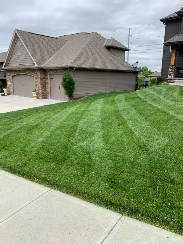 Eli’s Lawn Care Lawn Care Services in Omaha, NE
