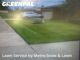 Lawn Cut nearby Warren, MI, 