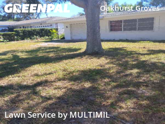 Yard Grooming in Seminole, 33776, Yard Grooming by MULTIMIL , work completed in Oct , 2025