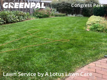 Lawn Cut nearby Denver, CO, 