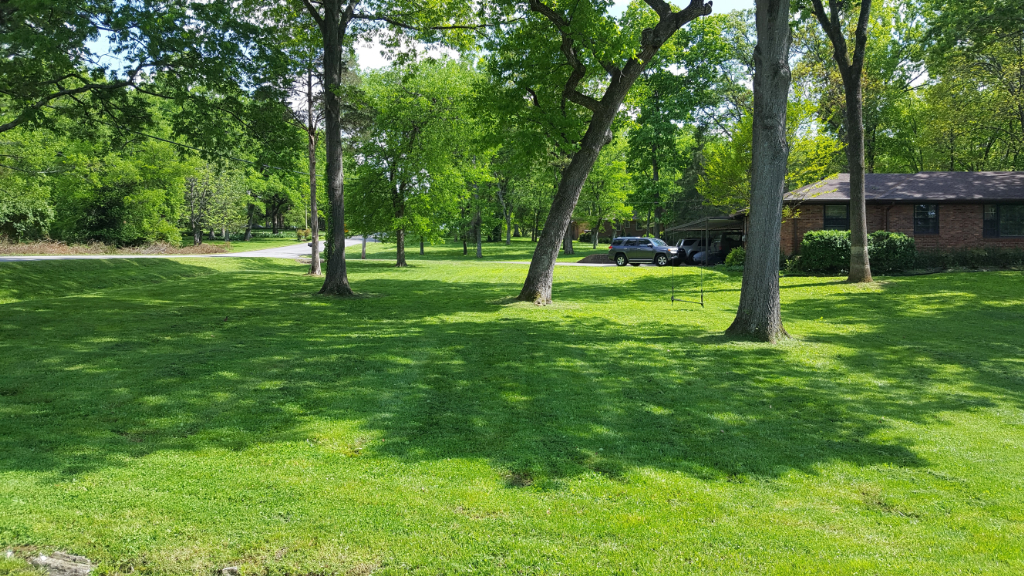 Pro Lawns Plus Lawn Care Services in Nashville, TN