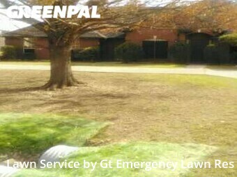 Lawn Mowing nearby Frisco, TX, 