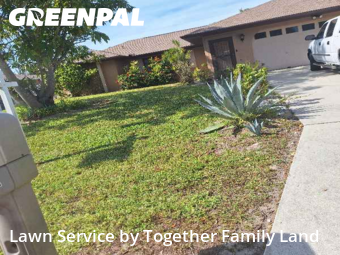 Grass Cut nearby Port Charlotte, FL, 