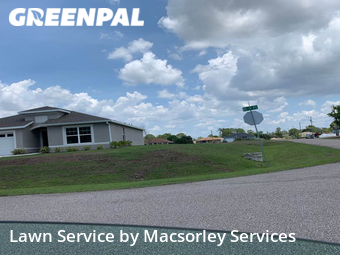 Grass Cut nearby Cape Coral, FL, 