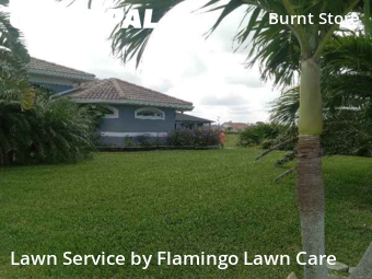 Lawn Mowing Service nearby Cape Coral, FL, 