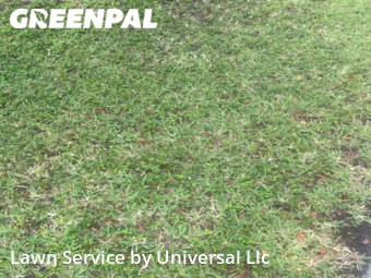 Grass Cutting nearby Dania Beach, FL, 