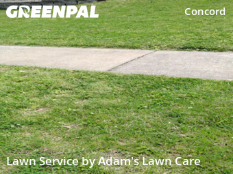 Lawn Care Service nearby St. Louis, MO, 
