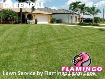 Lawn Maintenance nearby Cape Coral, FL, 