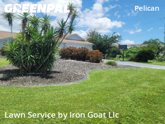 Grass Cutting nearby Cape Coral, FL, 