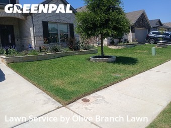 Lawn Cutin Fort Worth,76131,Lawn Cut by Olive Branch Lawn, work completed in Jun , 2026