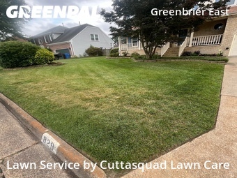 Lawn Service nearby Chesapeake, VA, 