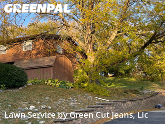 Grass Cutting nearby Salem, IL, 