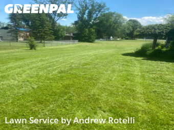 Lawn Care nearby Clay, NY, 