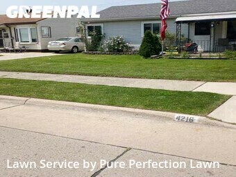 Lawn Work in Wyandotte, 48192, Yard Management by Pure Perfection Lawn, work completed in Nov , 2025