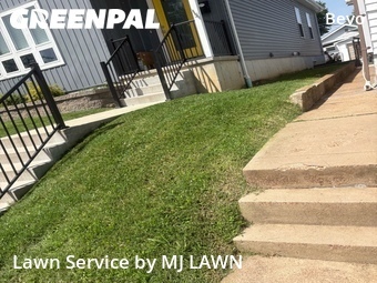 Lawn Cut nearby St. Louis, MO, 