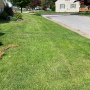 grass-cutting-businesses-in-Springfield-PA