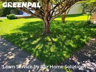 Lawn Care Service nearby Fairfax, VA, 