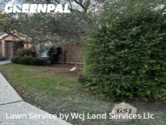 Grass Cuttingin New Braunfels,78130,Lawn Maintenance by Wcj Land Services Llc, work completed in Feb , 2026