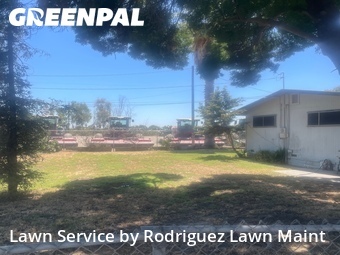 Grass Cut nearby Tulare, CA, 