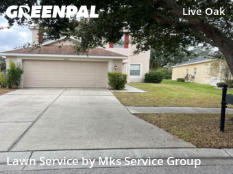 Lawn Servicein Tampa,33647,Lawn Mowing Service by Mks Service Group, work completed in Nov , 2025