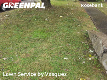 Yard Cutting nearby Nashville, TN, 