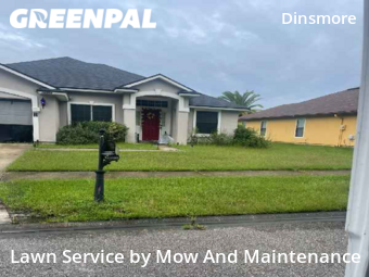 Grass Cut nearby Jacksonville, FL, 