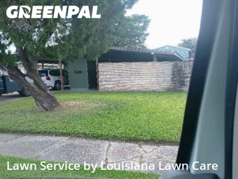 Grass Services in Terrytown, 70056, Yard Work by Louisiana Lawn Care , work completed in Nov , 2025