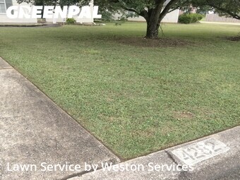 Lawn Mow nearby Bessemer, AL, 