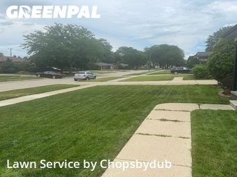Lawn Mow nearby St. Clair Shores, MI, 
