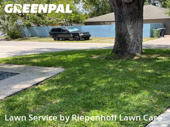 Yard Cutting nearby Tampa, FL, 