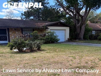 Lawn Mow nearby Casselberry, FL, 