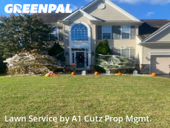 Lawn Mowing nearby Smyrna, DE, 
