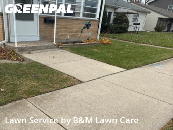 Yard Cutting nearby Whiting, IL, 