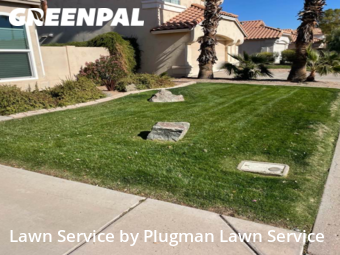 Lawn Mowing Service nearby Chandler, AZ, 