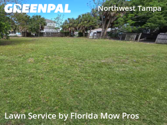 Lawn Mow nearby Tampa, FL, 