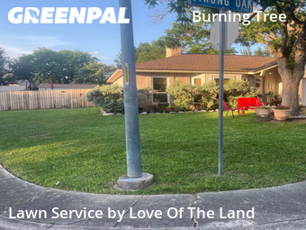Lawn Care nearby San Antonio, TX, 
