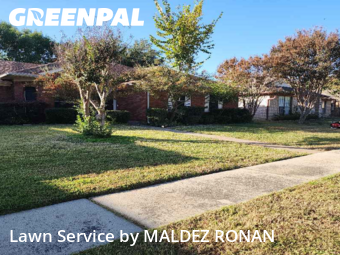 Yard Work in Coppell, 75019, Lawn Management by MALDEZ RONAN, work completed in Nov , 2025