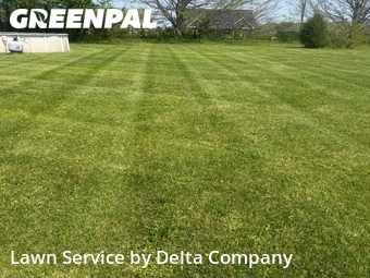 Lawn Cut nearby Bowling Green, KY, 
