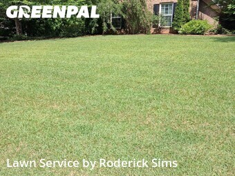 Lawn Mow nearby Hoschton, GA, 