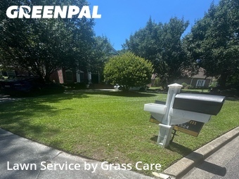 Lawn Mow nearby Myrtle Beach, SC, 