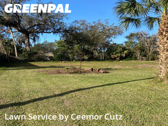 Yard Cutting nearby Daytona Beach, FL, 
