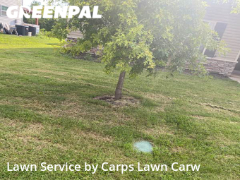 Grass Cutting nearby Murfreesboro, TN, 