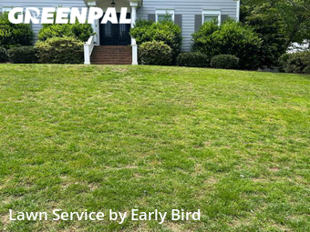 Lawn Cut nearby Matthews, NC, 