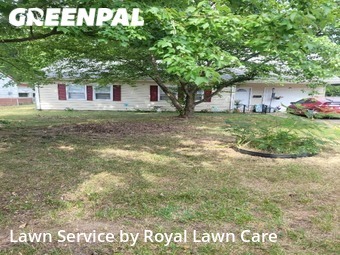 Lawn Cut nearby Springfield, MO, 