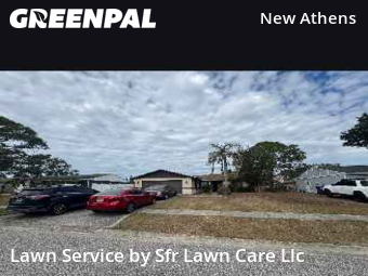 Grass Cuttingin Dunedin,34698,Grass Cut by Sfr Lawn Care Llc, work completed in Dec , 2025