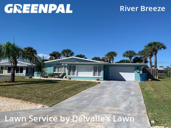 Grass Cutting nearby Ormond Beach, FL, 